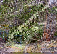 Sawpit Walking Track - Accommodation QLD