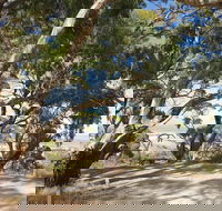 Spring Gully Conservation Park - Accommodation QLD