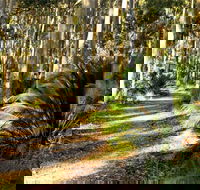 Square Head Track 2 - Accommodation QLD