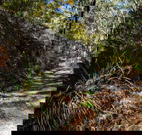 Starlights Trail - Accommodation QLD