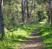 Stoodley Forest Walk and Arboretum - Accommodation QLD