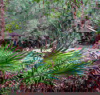 Sugar Creek Picnic Area - Accommodation QLD