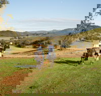 Tamworth and Kootingal Horse Riding Adventures - Accommodation QLD