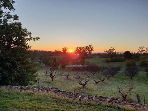 Taralee Orchards - Accommodation QLD 1