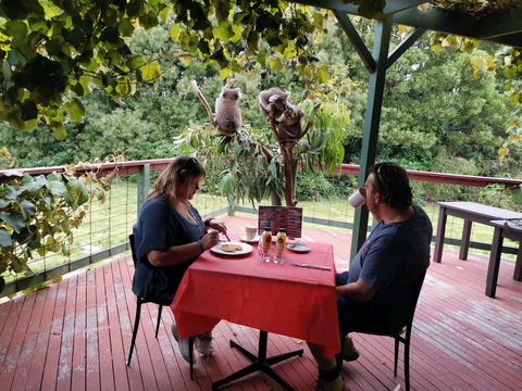 The Aussie Stop Offering Breakfast With Koalas - Accommodation QLD 0