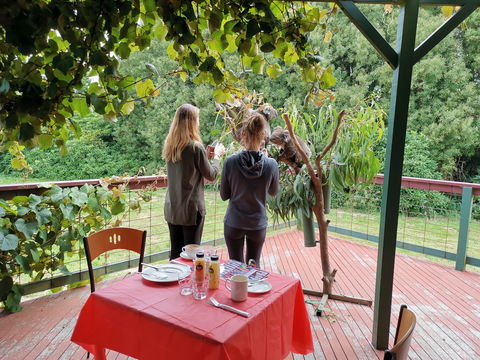 The Aussie Stop Offering Breakfast With Koalas - Accommodation QLD 2