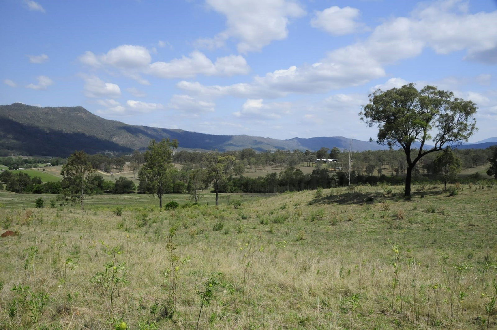 Thornton QLD Accommodation QLD