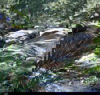 Towarri National Park - Accommodation QLD