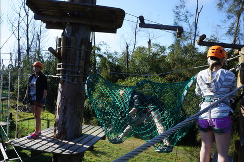 Trees Adventure - Lane Poole Park - Accommodation QLD 0