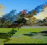 Tunks Hill picnic area - Accommodation QLD