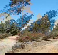 Werakata National Park - Accommodation QLD