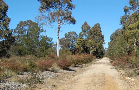 Werakata National Park - Accommodation QLD 0