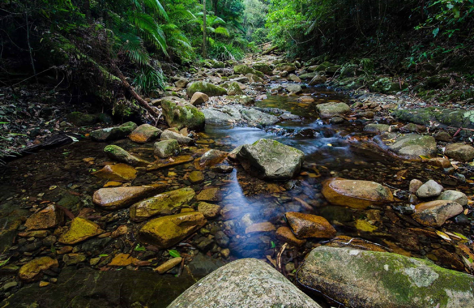 Willi Willi NSW Accommodation QLD