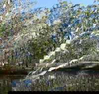 Wongi State Forest - Accommodation QLD