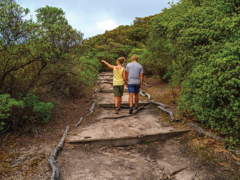 Woody Island Nature Reserve - Accommodation QLD 2