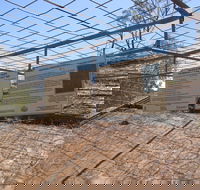 Aboriginal Carvings - Accommodation QLD