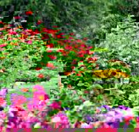 Alma Park - Accommodation QLD