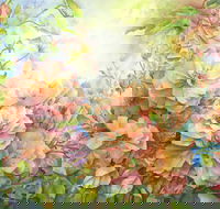 Barossa Chateau Artist in Residence - Accommodation QLD