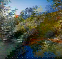 Bargo State Conservation Area - Accommodation QLD