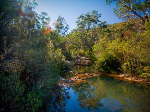 Bargo State Conservation Area - Accommodation QLD 0