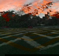 Bellingham Maze - Accommodation QLD