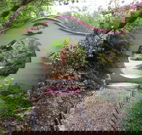 Black Dragon Gardens Wulong Yuan - Accommodation QLD