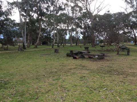 Black Cockatoo Bush Camp - Accommodation QLD 1