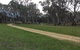 Black Cockatoo Bush Camp - thumb 2
