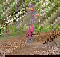 Bom Bom State Forest Mountain Bike Trails - Accommodation QLD