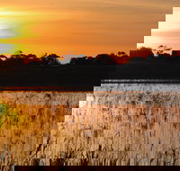 Bool Lagoon Game Reserve and Hacks Lagoon Conservation Park - Accommodation QLD