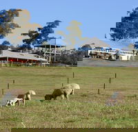 Calmsley Hill City Farm - Accommodation QLD