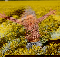 Canola Trail - Accommodation QLD