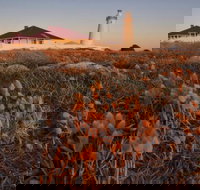 Cape Willoughby Heritage Trail - Accommodation QLD