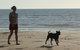 Casuarina Coastal Reserve - thumb 2
