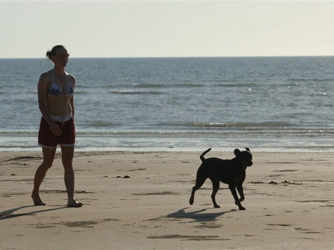 Casuarina Coastal Reserve - Accommodation QLD 2