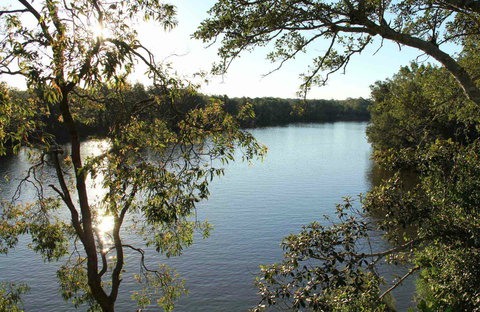 Cattai National Park - Accommodation QLD 0