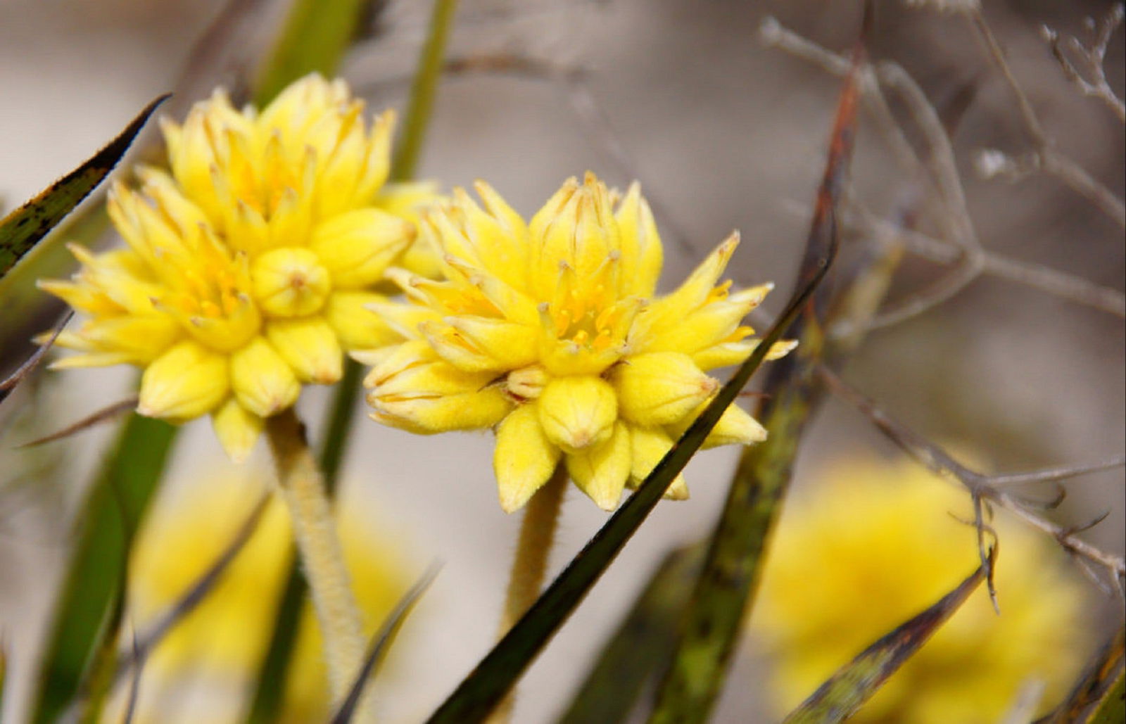 Cataby WA Accommodation QLD