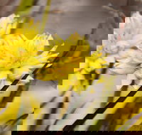 Cataby - Accommodation QLD