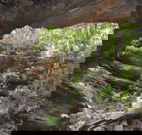 Cave Creek Walking Track - Accommodation QLD