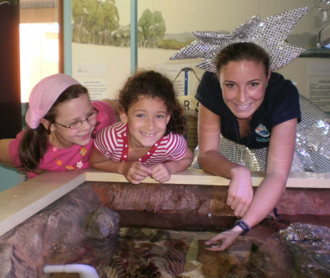 Central Coast Marine Discovery Centre - Accommodation QLD 0