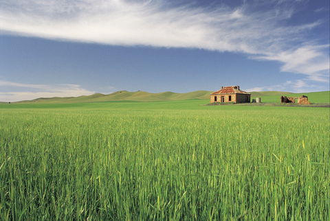 Clare Valley - Accommodation QLD 1