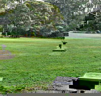 Cottonwood Glen Picnic Area - Accommodation QLD