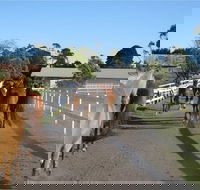 Darkes Forest Riding Ranch - Accommodation QLD