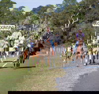 Dayboro - Accommodation QLD