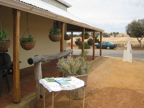 Dead Finish Museum - Accommodation QLD 0