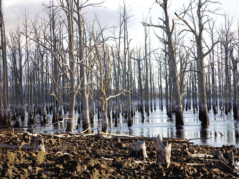 Derwent Valley And Central Highlands - Accommodation QLD 1