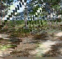 Djukbinj National Park - Accommodation QLD