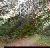 End Peak walking track - Accommodation QLD