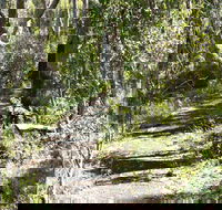 Euglah Rock Walking Track - Accommodation QLD