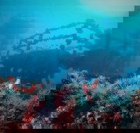 ex HMAS Adelaide - Accommodation QLD